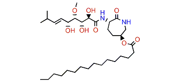 Bengamide J